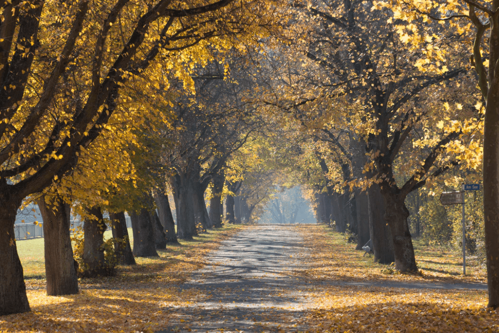 Fall seasonal job climate