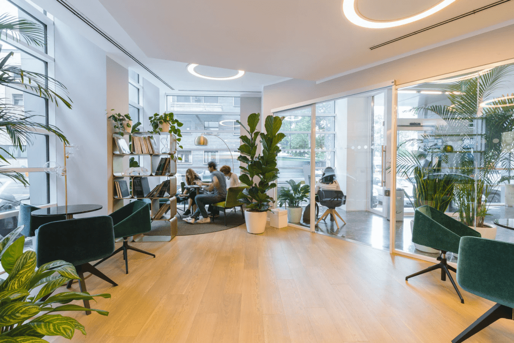 Inside an open space office  with lots of plants  