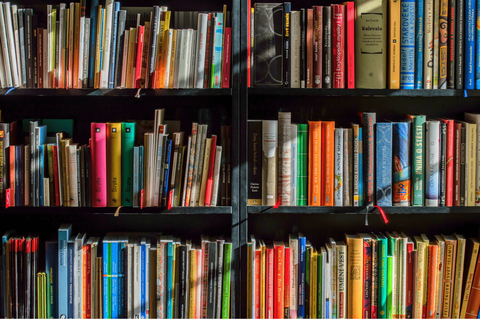 Library shelf with books