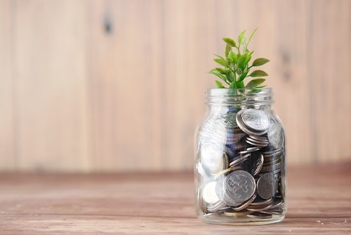 Jar of coins with a plant in it