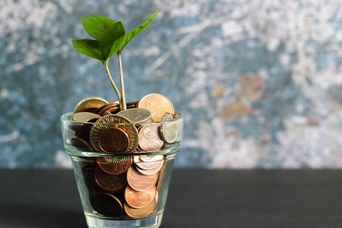 A plant growing in a jar of money