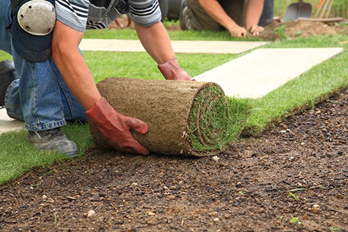 Learning How to start a landscaping business